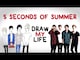 5 Seconds of Summer - Draw My Life Videos