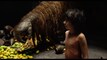 The Jungle Book Trailer Videos