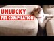 Unlucky Pets || Funny Compilation Videos