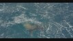 Entertainment - Part 04 Videos