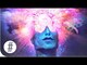 Dreams - Alltime Facts Videos