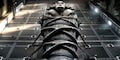 The Mummy - Trailer Videos