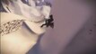 E3 TRAILERS: SSX Videos