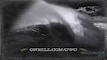 O’Neill Cold Water Classic 2011 - Scotland - Highlights of Day 3 Videos