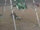 funny videos Videos