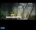 One Day Jokes Trailer Videos
