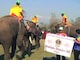 Elephant Soccer Videos